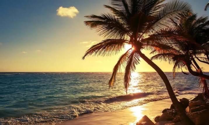 Pe Na Areia Vista Total Mar - O Paraiso E Aqui! Σαλβαντόρ Εξωτερικό φωτογραφία